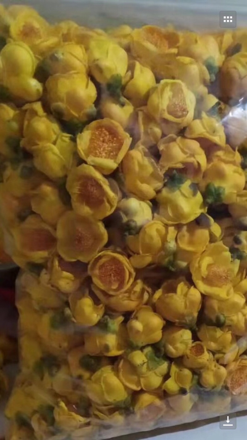 超靓实惠的防普冻干花