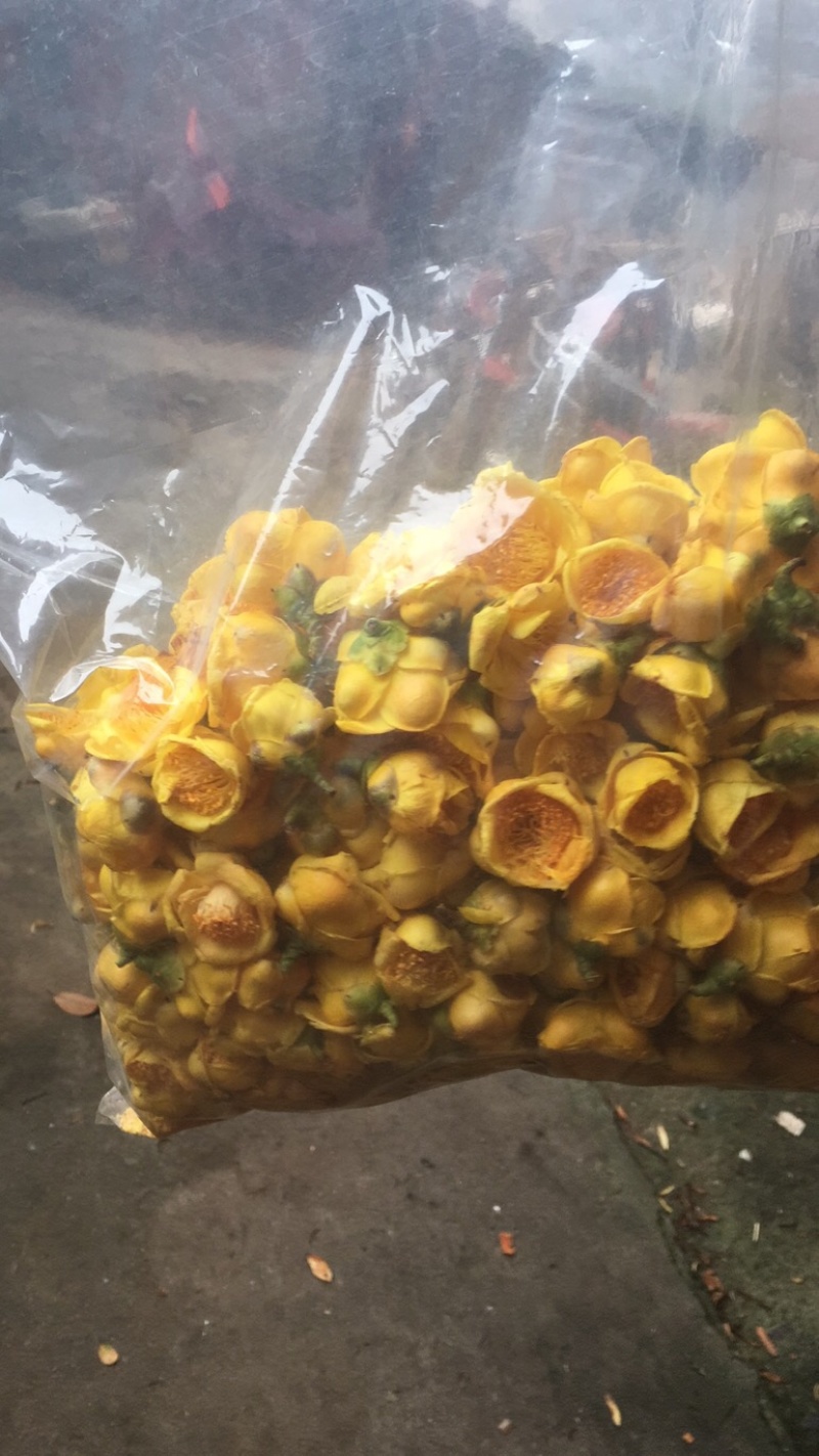 超靓实惠的防普冻干花