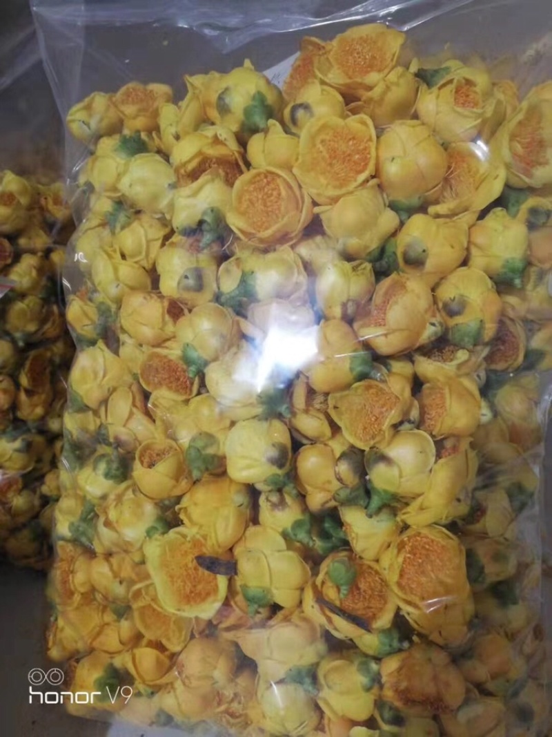 超靓实惠的防普冻干花