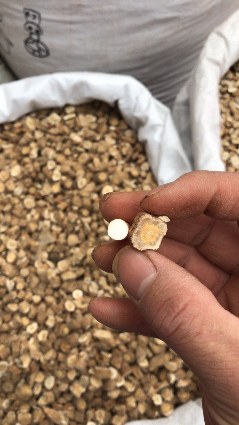 板蓝根无硫优质板蓝根板蓝根打粉产地直销