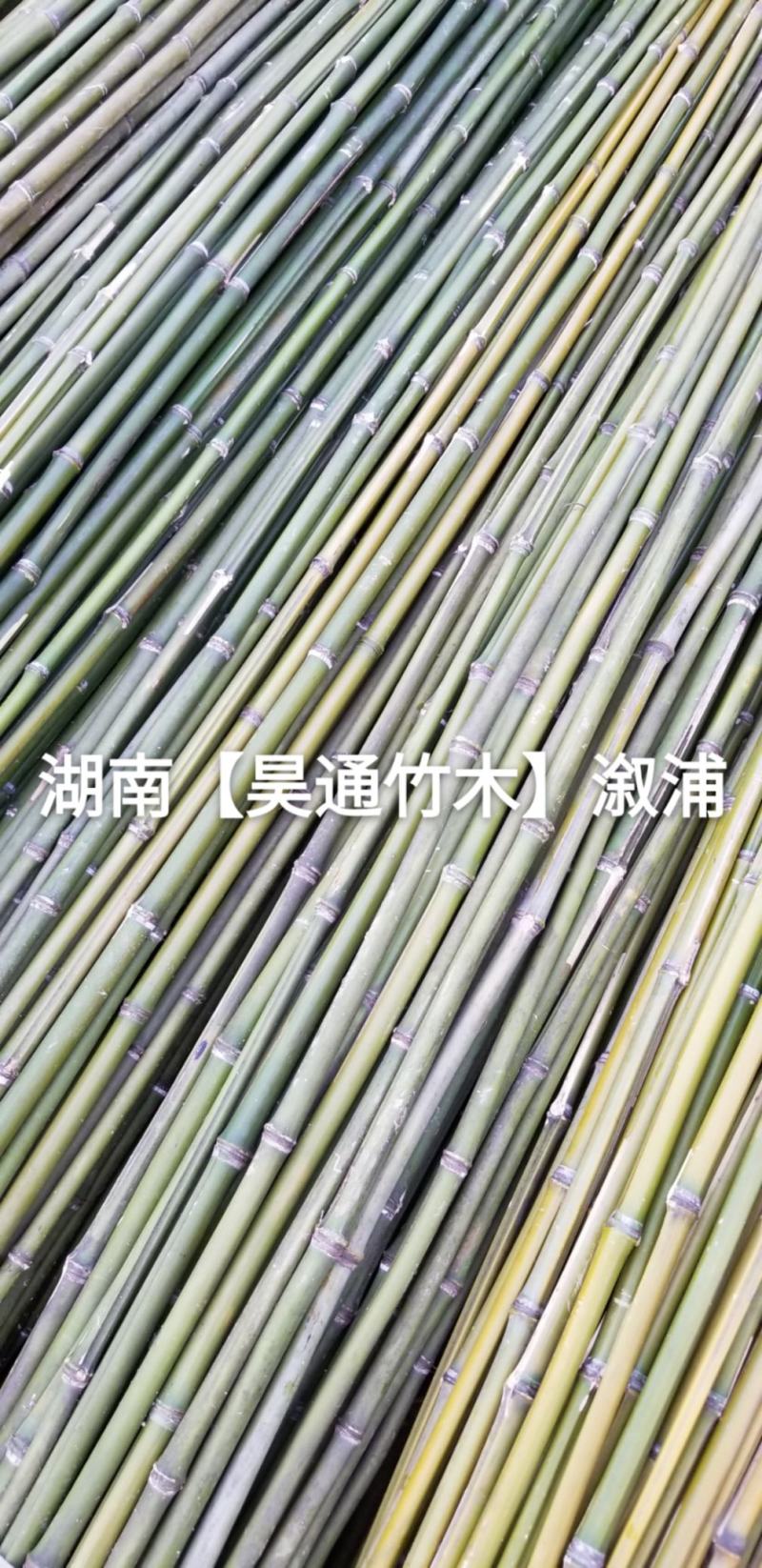 湘西雪峰山2.4米菜架竹、小竹竿、竹架条