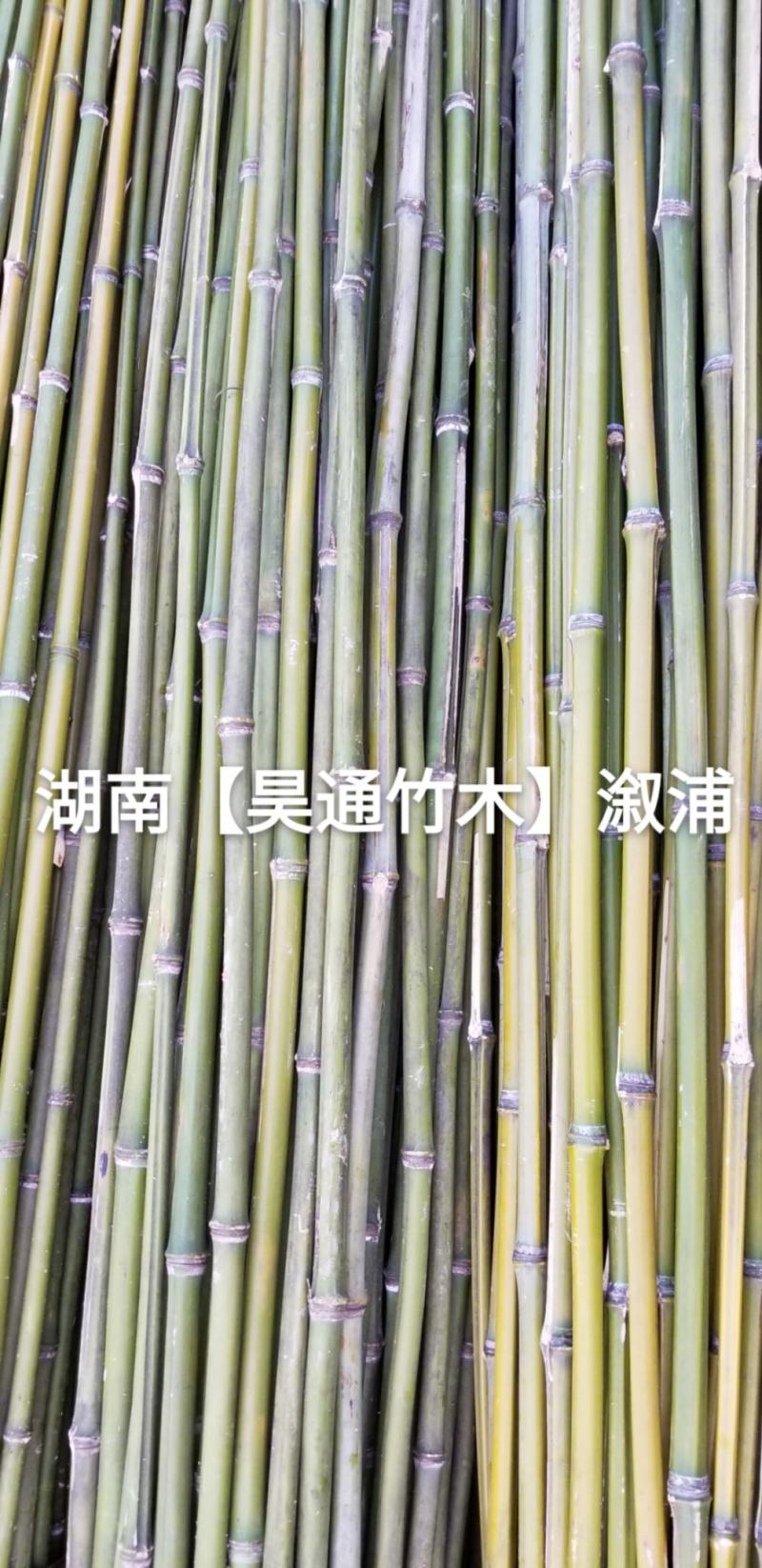 湘西雪峰山2.4米菜架竹、小竹竿、竹架条