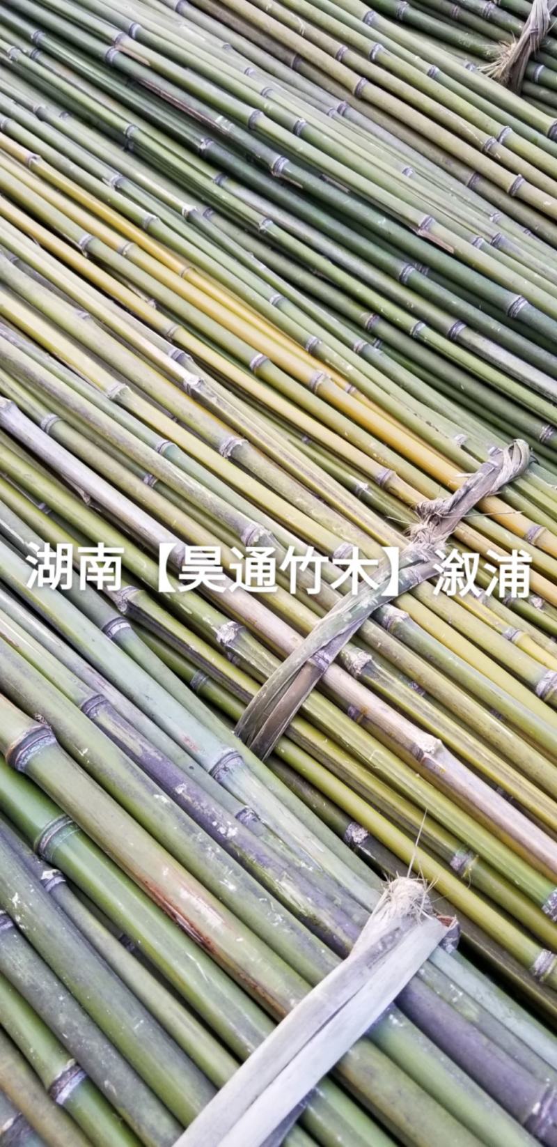 湘西雪峰山2.4米菜架竹、小竹竿、竹架条