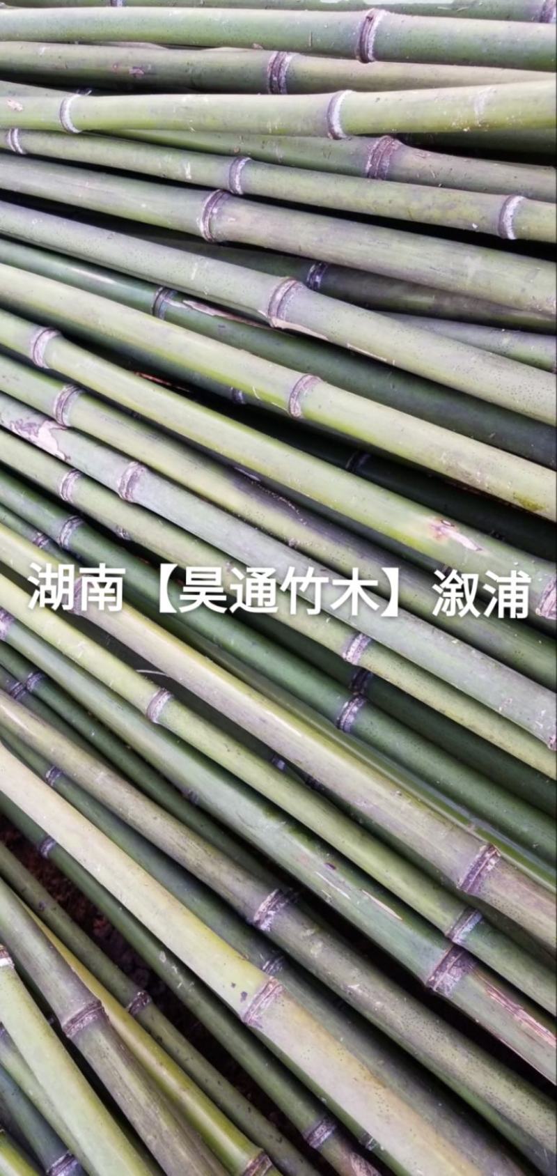 湘西雪峰山2.4米菜架竹、小竹竿、竹架条