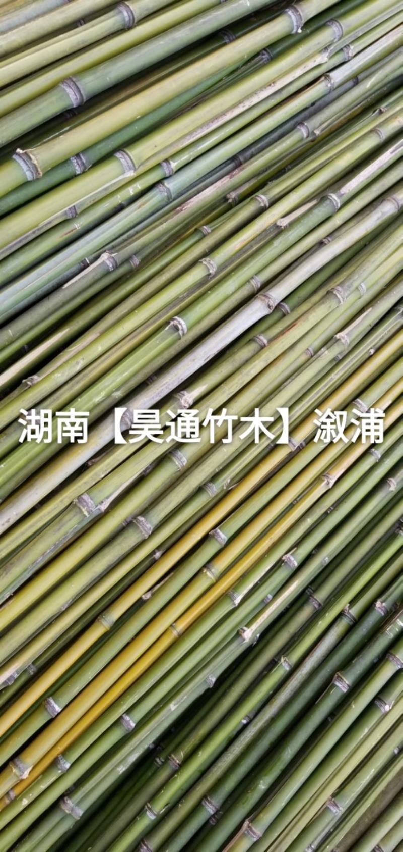 湘西雪峰山2.4米菜架竹、小竹竿、竹架条