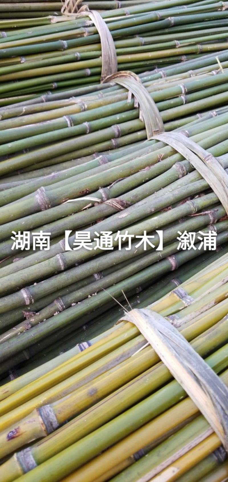 湘西雪峰山2.4米菜架竹、小竹竿、竹架条