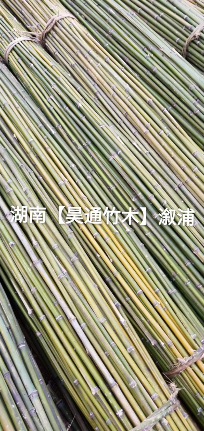 湘西雪峰山2.4米菜架竹、小竹竿、竹架条