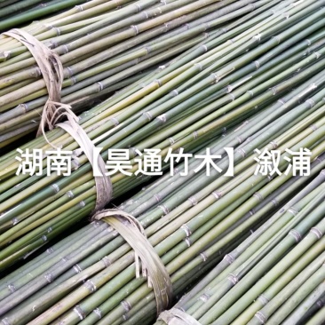 湘西雪峰山2.4米菜架竹、小竹竿、竹架条