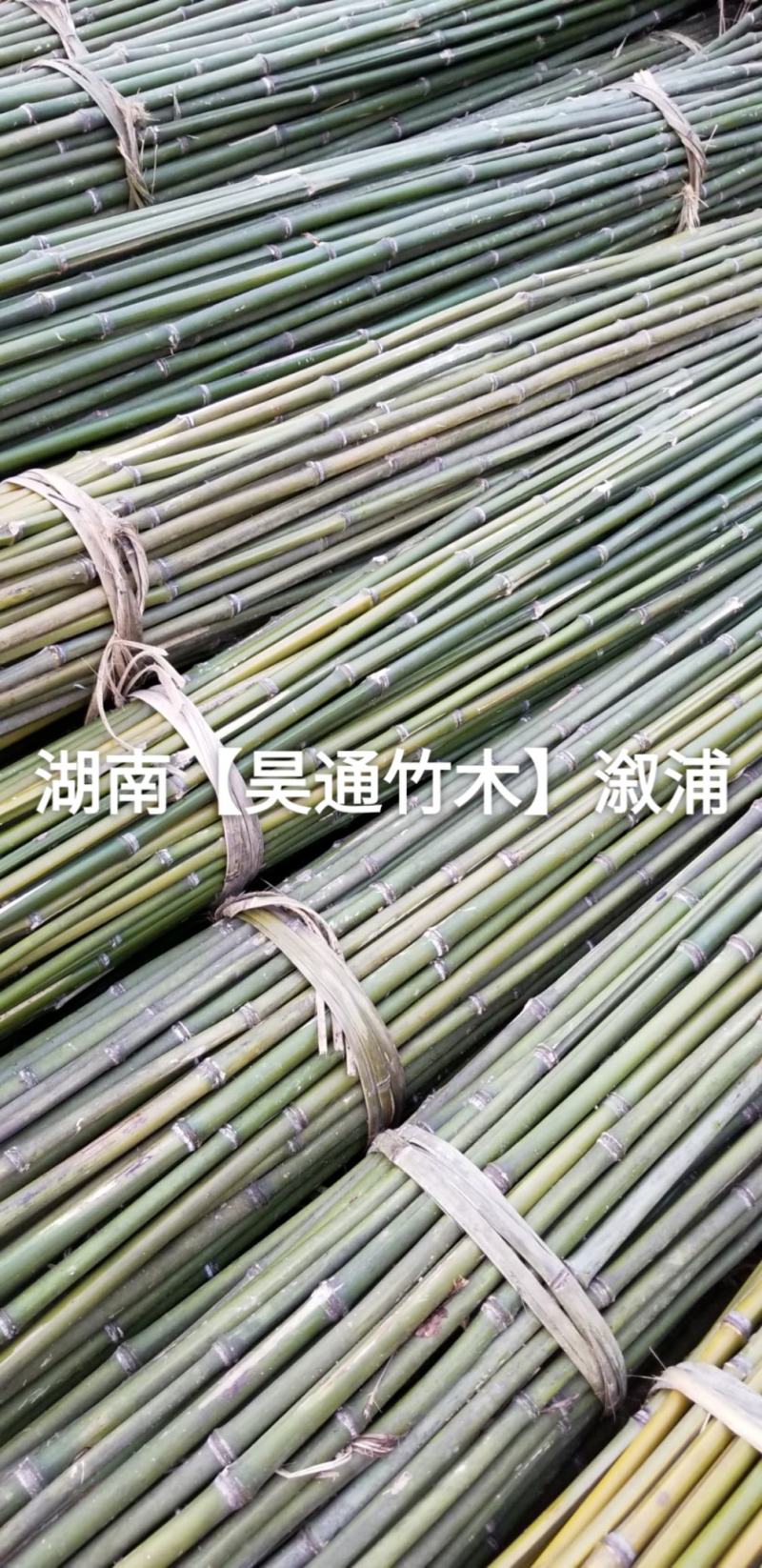 湘西雪峰山2.4米菜架竹、小竹竿、竹架条