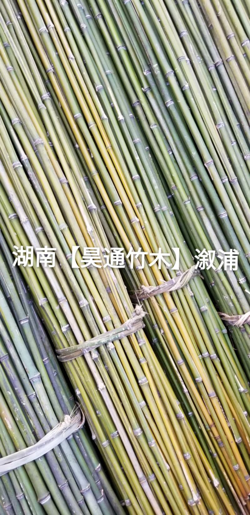 湘西雪峰山2.4米菜架竹、小竹竿、竹架条