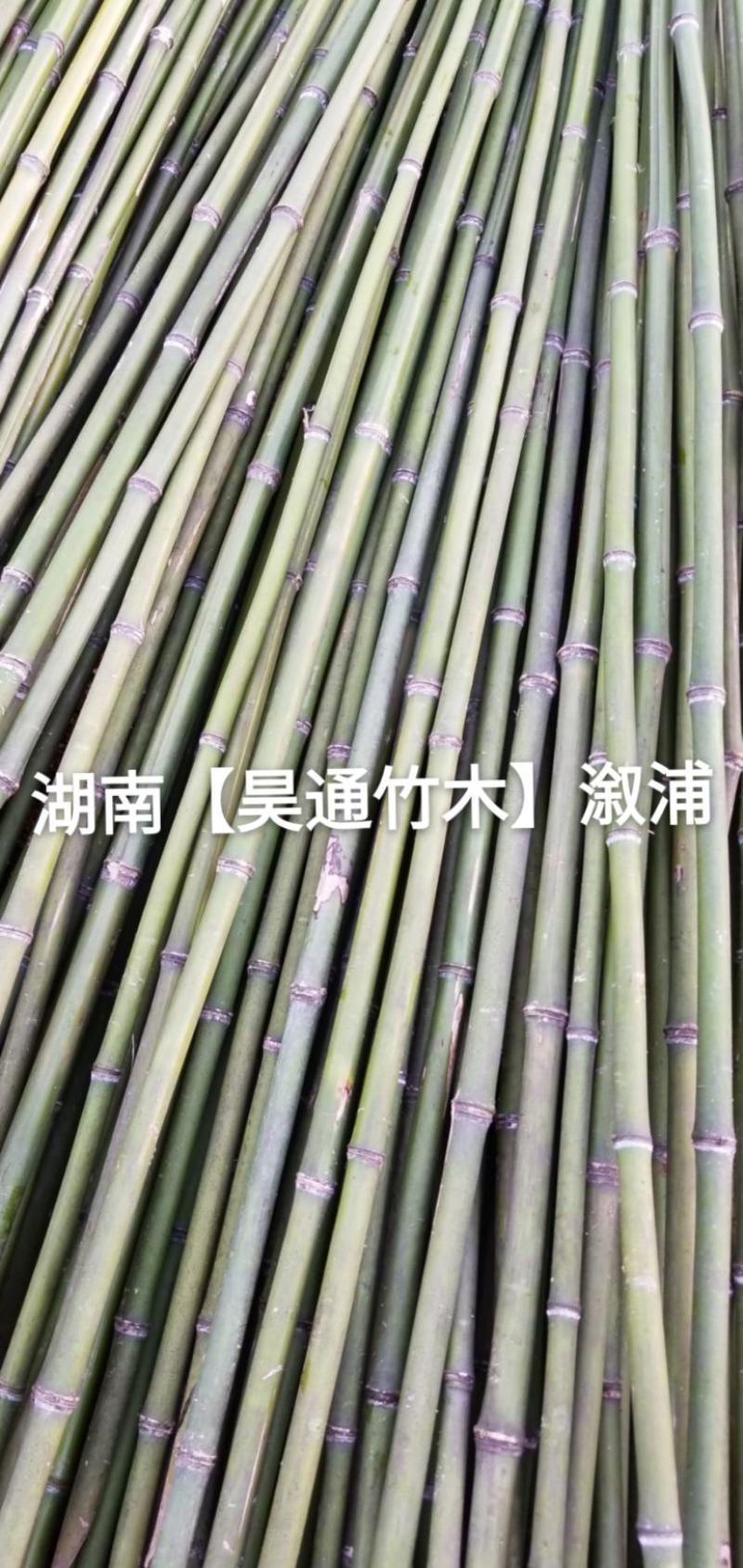 湘西雪峰山2.4米菜架竹、小竹竿、竹架条