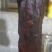 腊肉农家腊肉，量大优先