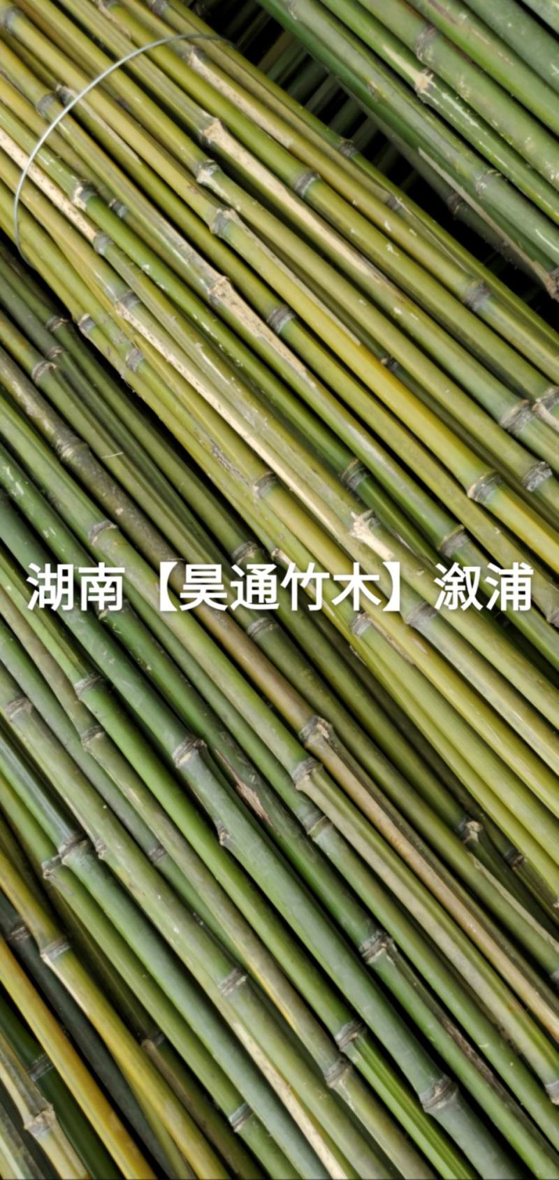 湘西雪峰山竹子、竹竿、菜架竹、竹架条、绿竹、金竹、铁竹