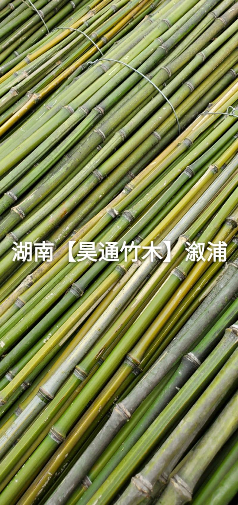 湘西雪峰山竹子、竹竿、菜架竹、竹架条、绿竹、金竹、铁竹