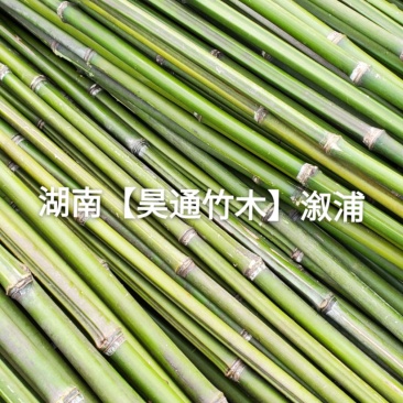 湘西雪峰山菜架竹、竹竿、竹架条、菜竹杆、菜架竿、金竹