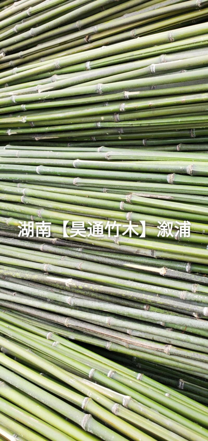 湘西雪峰山菜架竹、竹竿、竹架条、菜竹杆、菜架竿、金竹