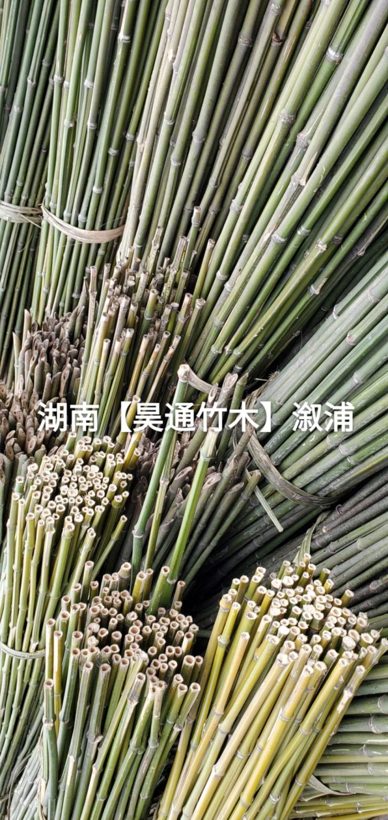 湘西雪峰山菜架竹、竹竿、竹架条、菜竹杆、菜架竿、金竹