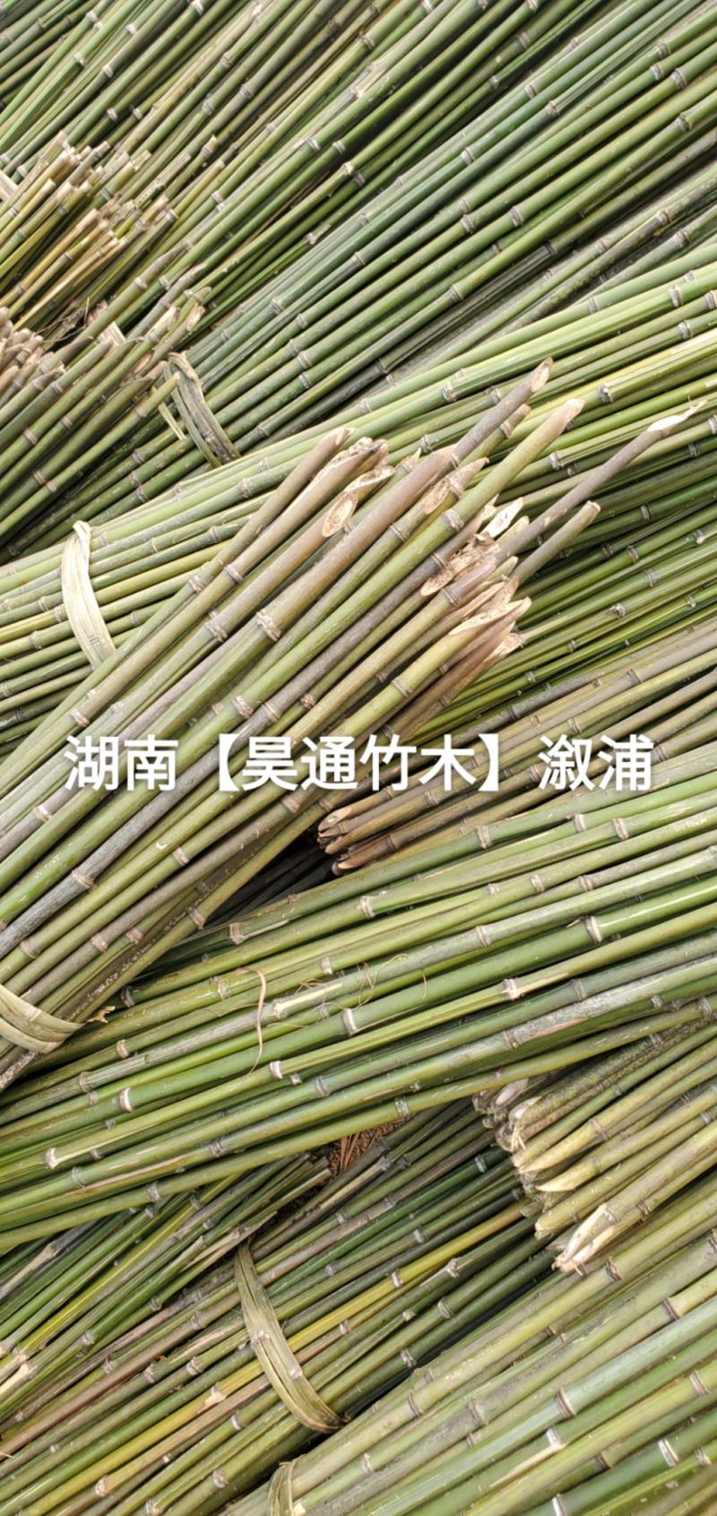 湘西雪峰山菜架竹、竹竿、竹架条、菜竹杆、菜架竿、金竹