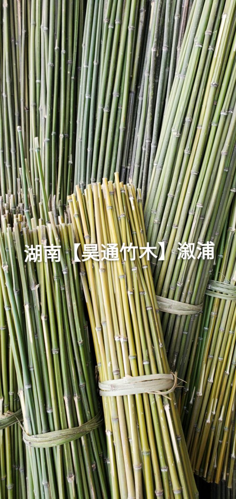 湘西雪峰山菜架竹、竹竿、竹架条、菜竹杆、菜架竿、金竹