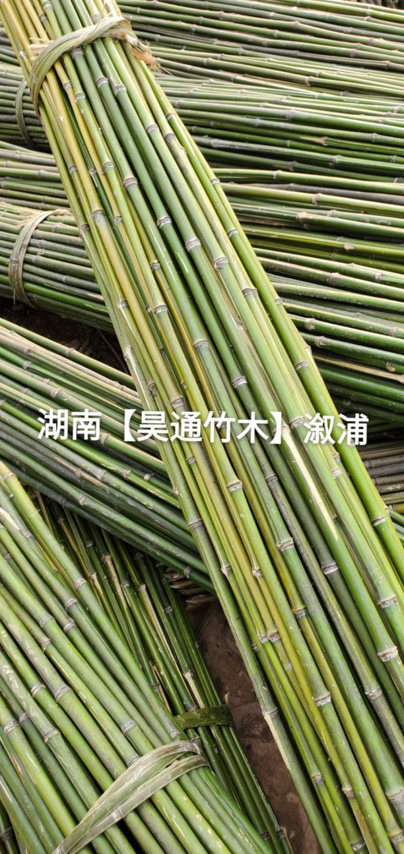 湘西雪峰山菜架竹、竹竿、竹架条、菜竹杆、菜架竿、金竹