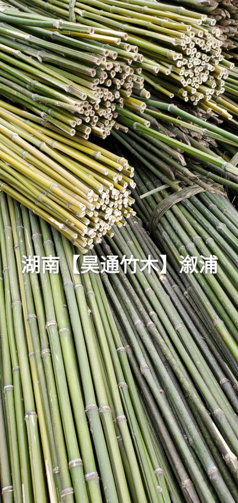 湘西雪峰山菜架竹、竹竿、竹架条、菜竹杆、菜架竿、金竹