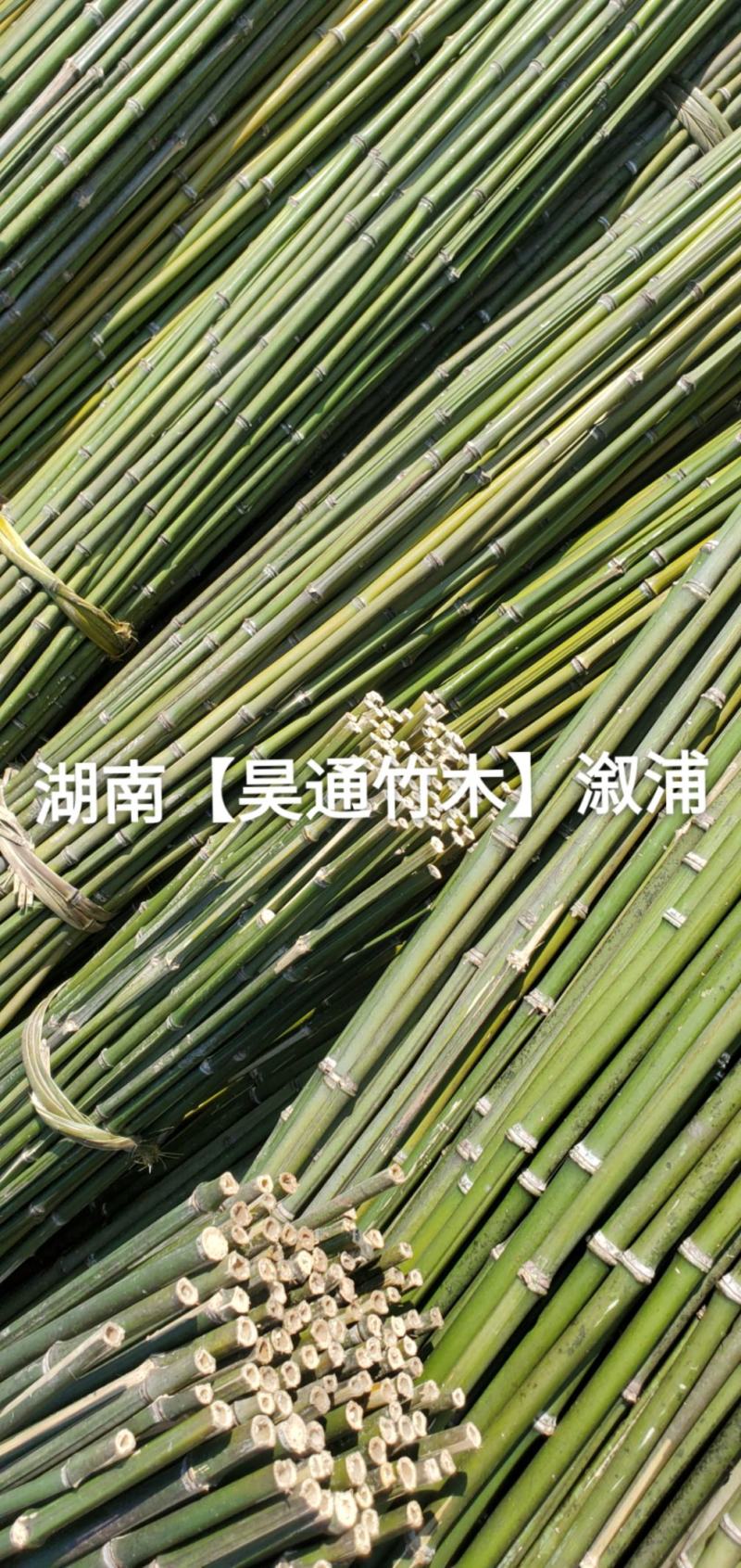 湘西雪峰山菜架竹、竹竿、金竹、铁竹、山竹、竹子