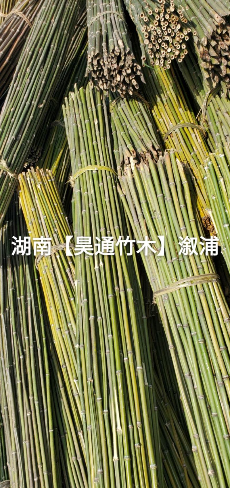 湘西雪峰山菜架竹、竹竿、金竹、铁竹、山竹、竹子