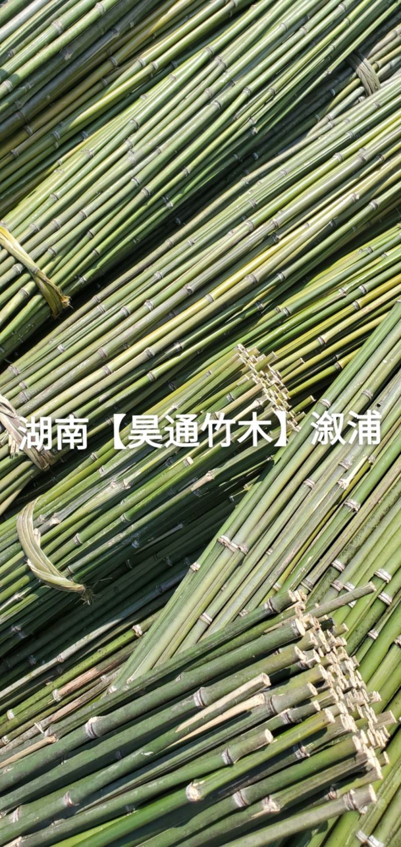 湘西雪峰山菜架竹、竹竿、金竹、铁竹、山竹、竹子