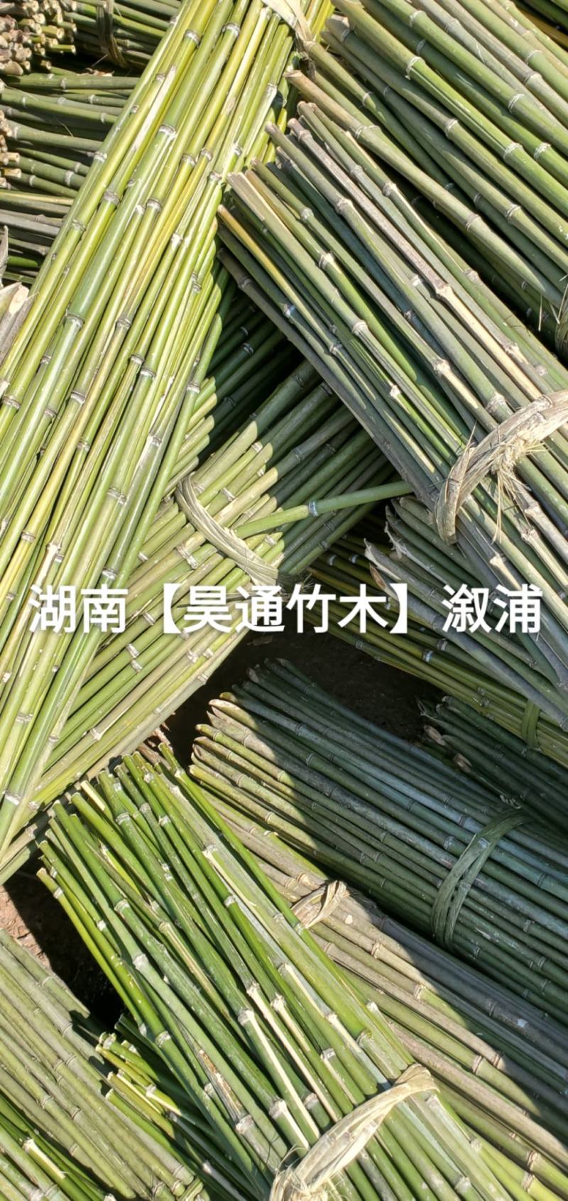 湘西雪峰山菜架竹、竹竿、金竹、铁竹、山竹、竹子