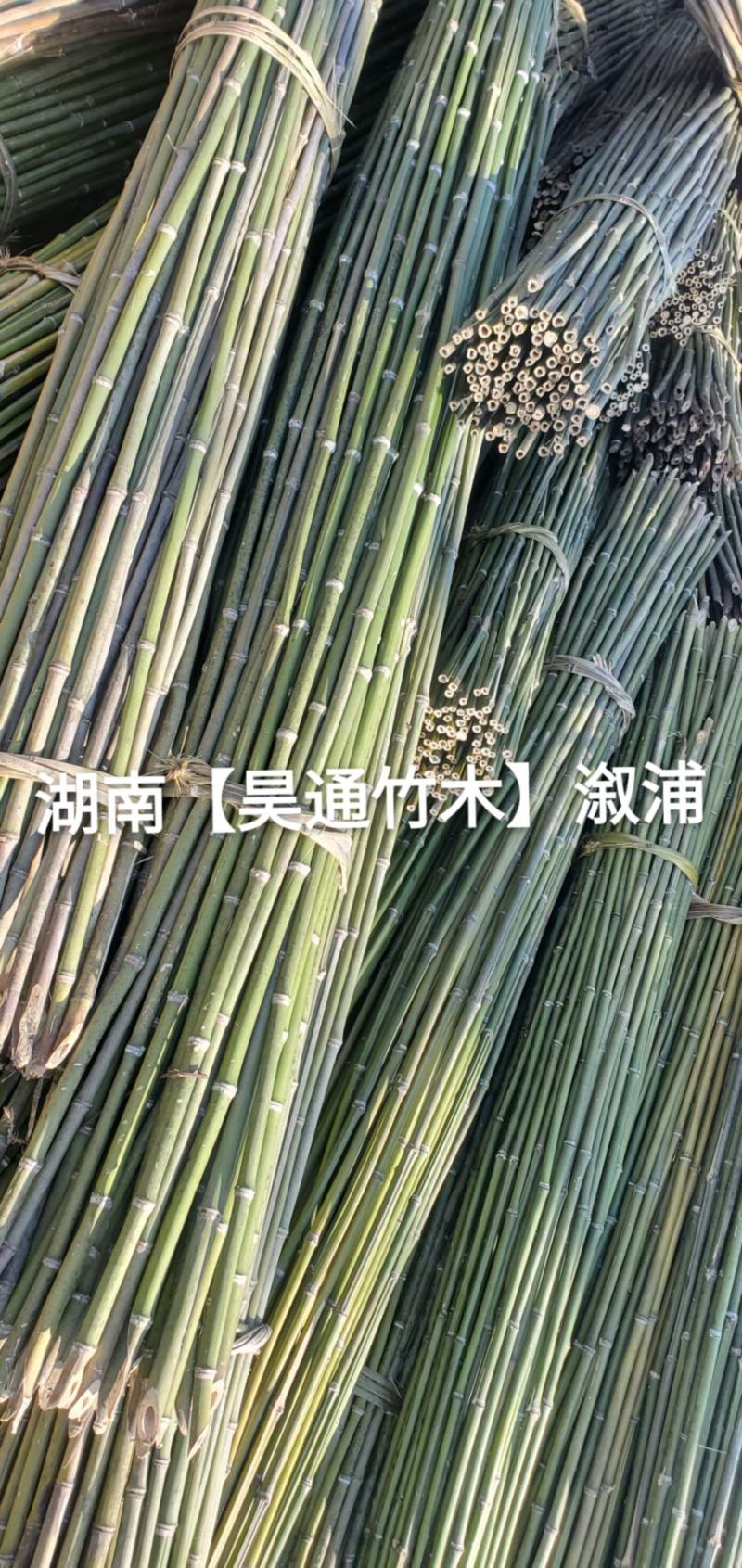 湘西雪峰山菜架竹、竹竿、金竹、铁竹、山竹、竹子
