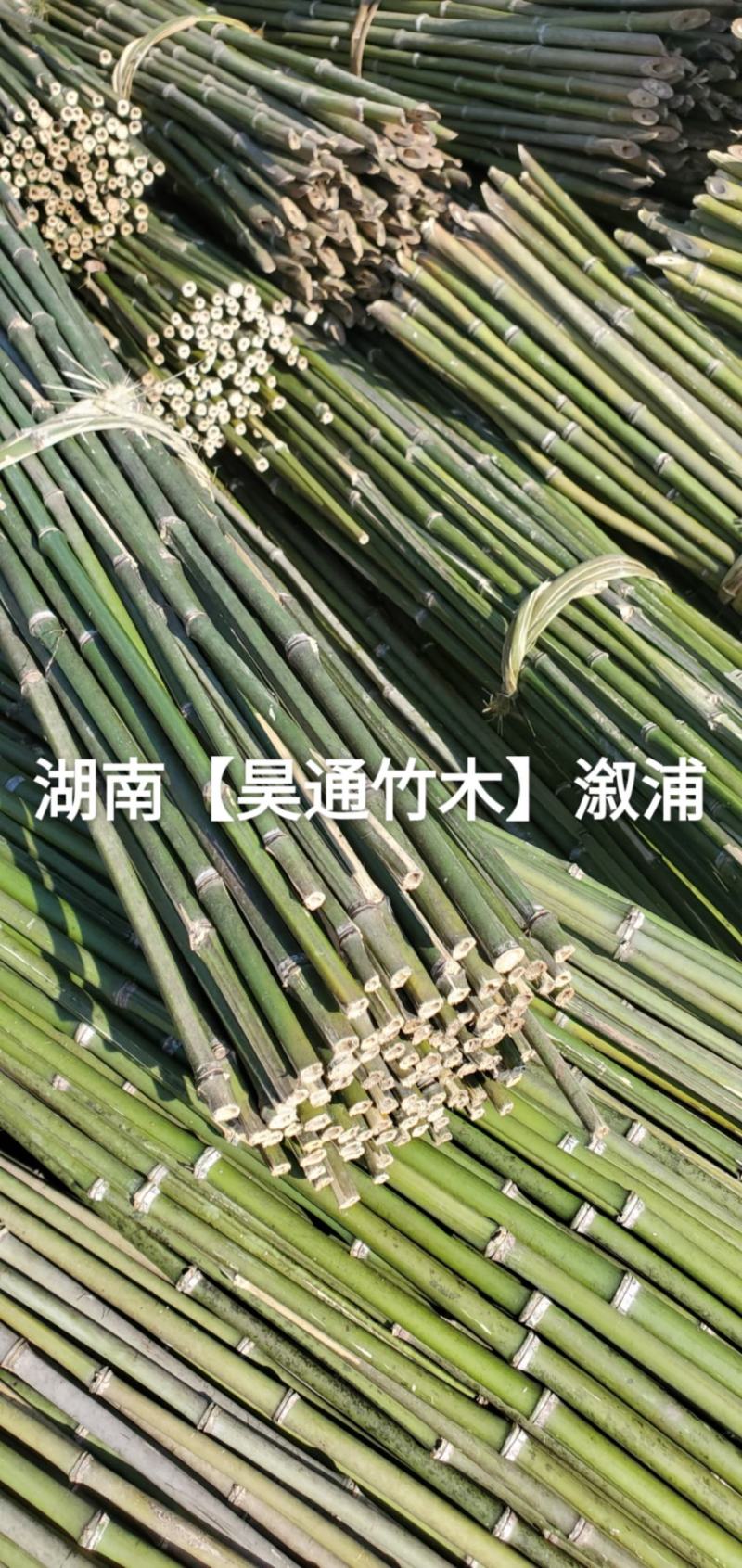 湘西雪峰山菜架竹、竹竿、金竹、铁竹、山竹、竹子