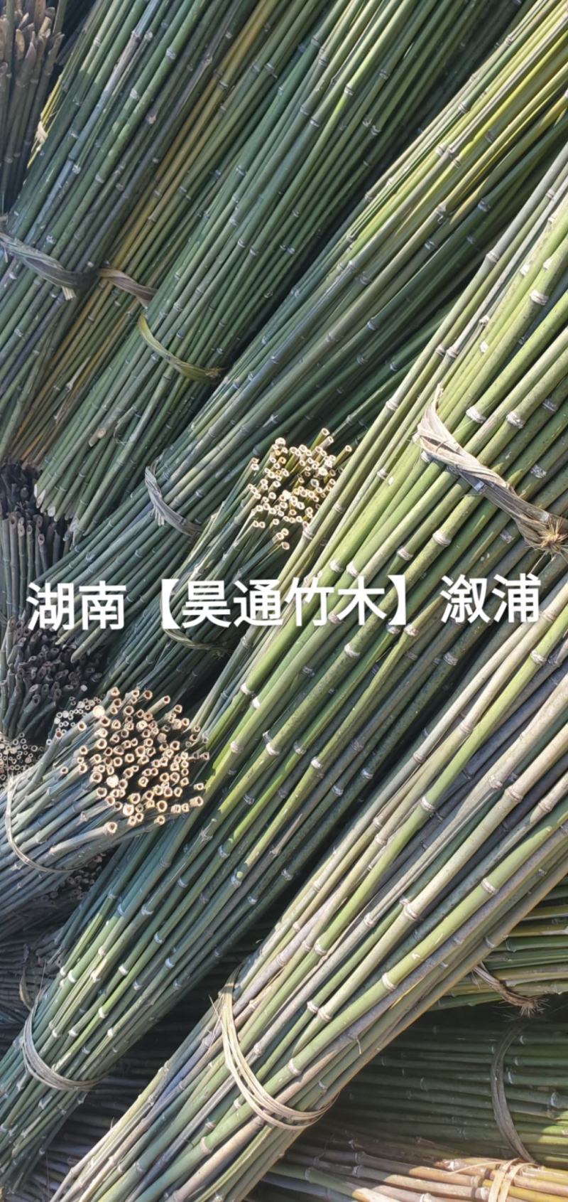 湘西雪峰山菜架竹、竹竿、竹架条、铁竹、金竹、绿竹、竹子