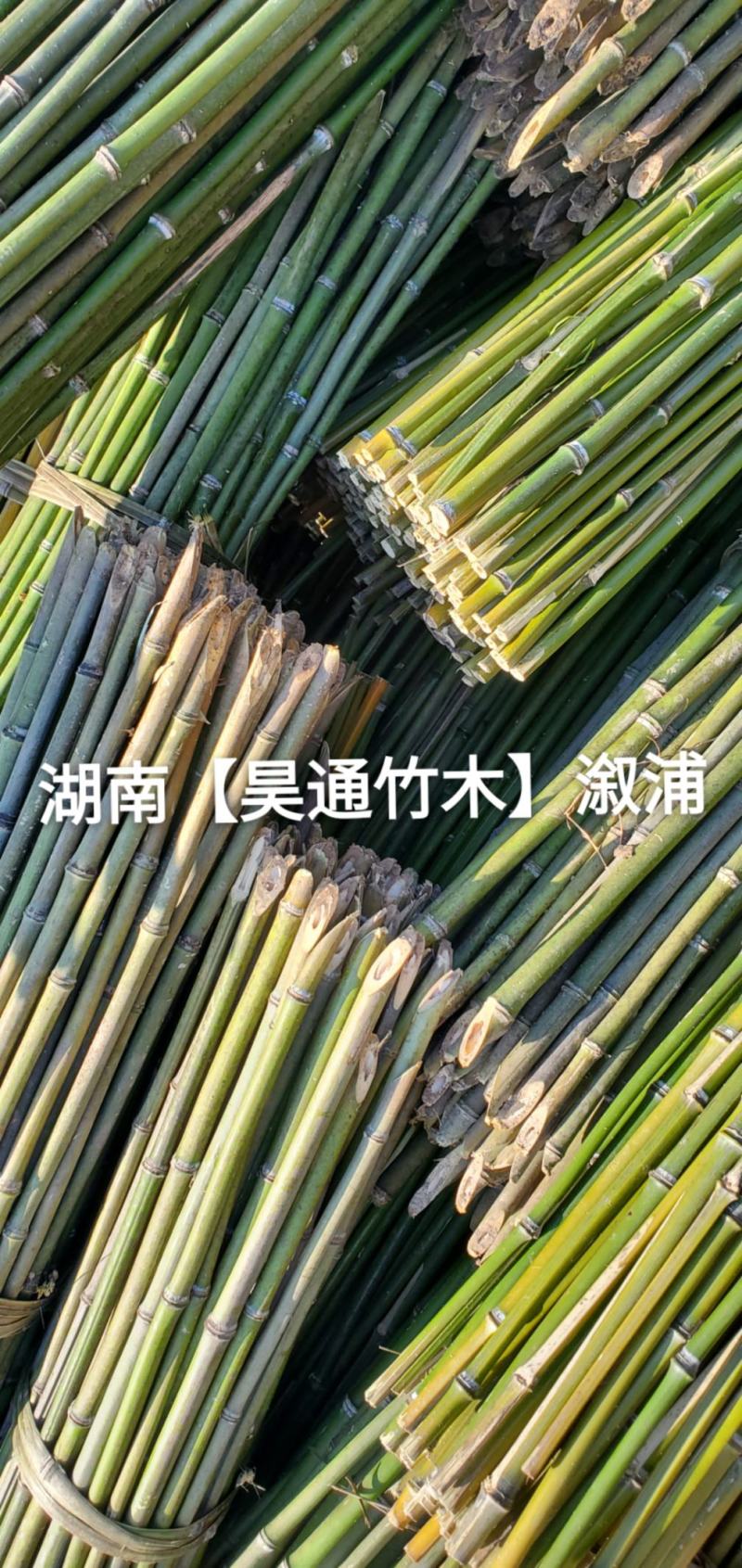 湘西雪峰山菜架竹、竹竿、竹架条、铁竹、金竹、绿竹、竹子