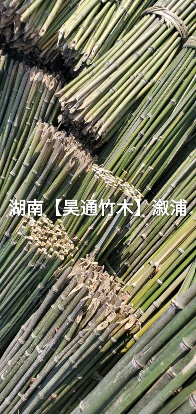 湘西雪峰山菜架竹、竹竿、竹架条、铁竹、金竹、绿竹、竹子