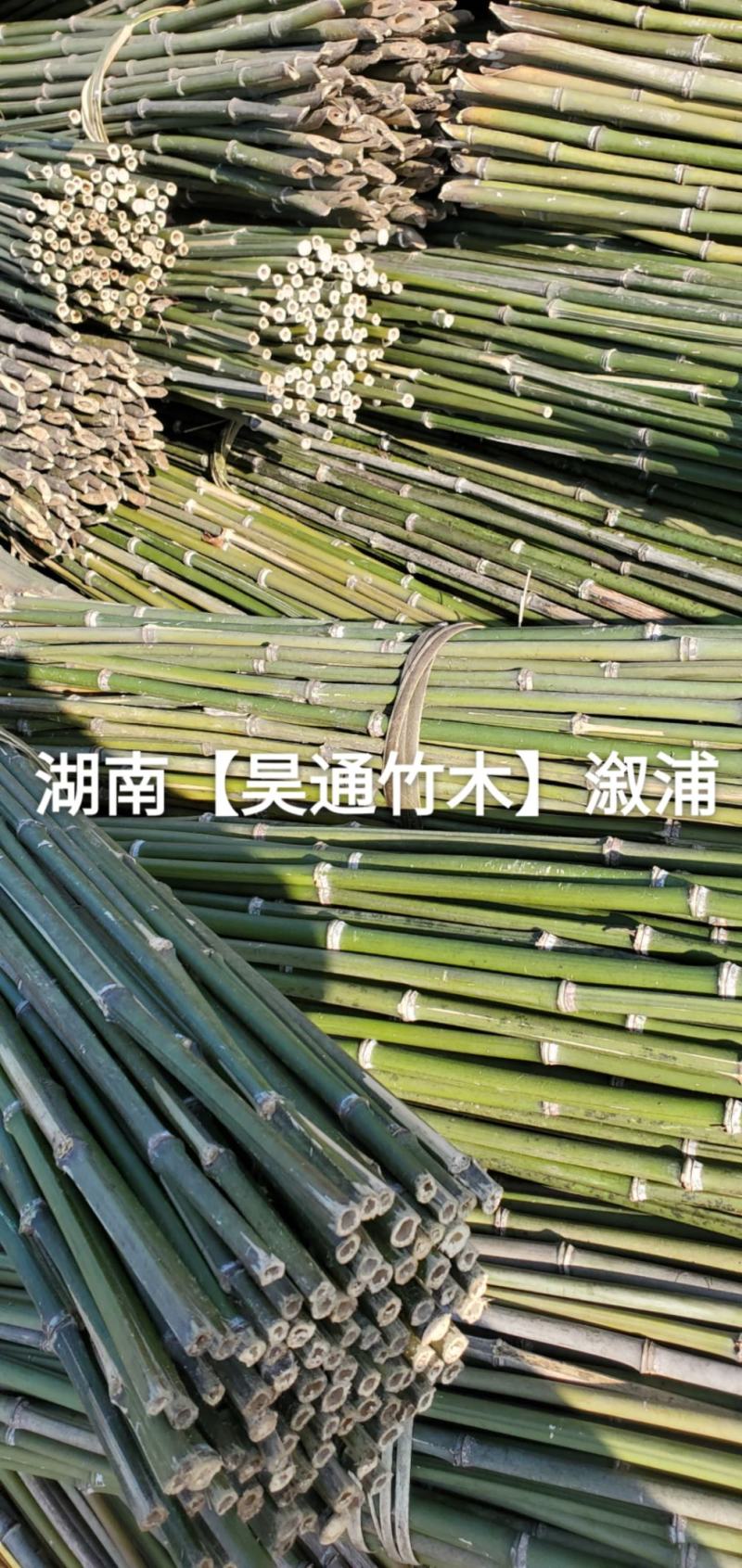 湘西雪峰山菜架竹、竹竿、竹架条、铁竹、金竹、绿竹、竹子