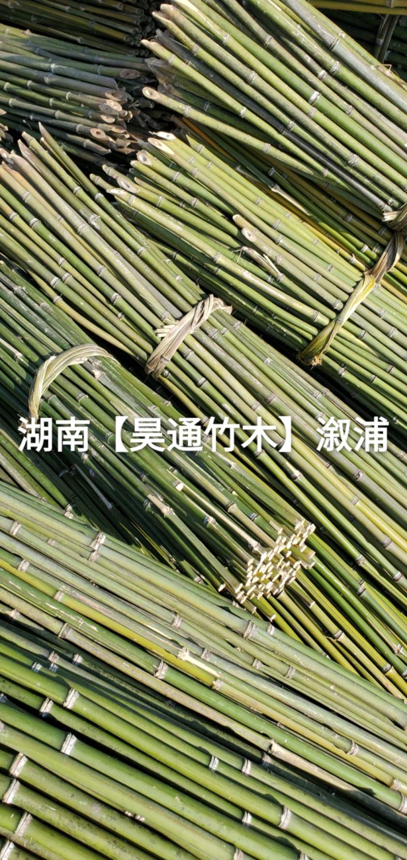 湘西雪峰山菜架竹、竹竿、竹架条、铁竹、金竹、绿竹、竹子