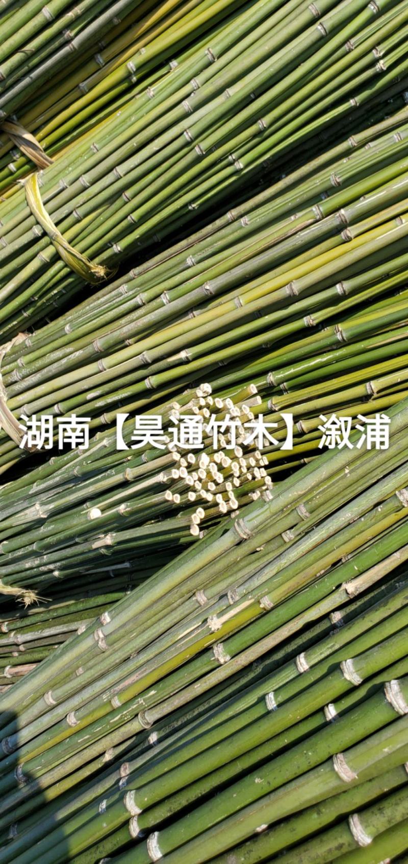 湘西雪峰山菜架竹、竹竿、竹架条、铁竹、金竹、绿竹、竹子