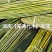 湘西雪峰山菜架竹、竹竿、竹架条、铁竹、金竹、绿竹、竹子
