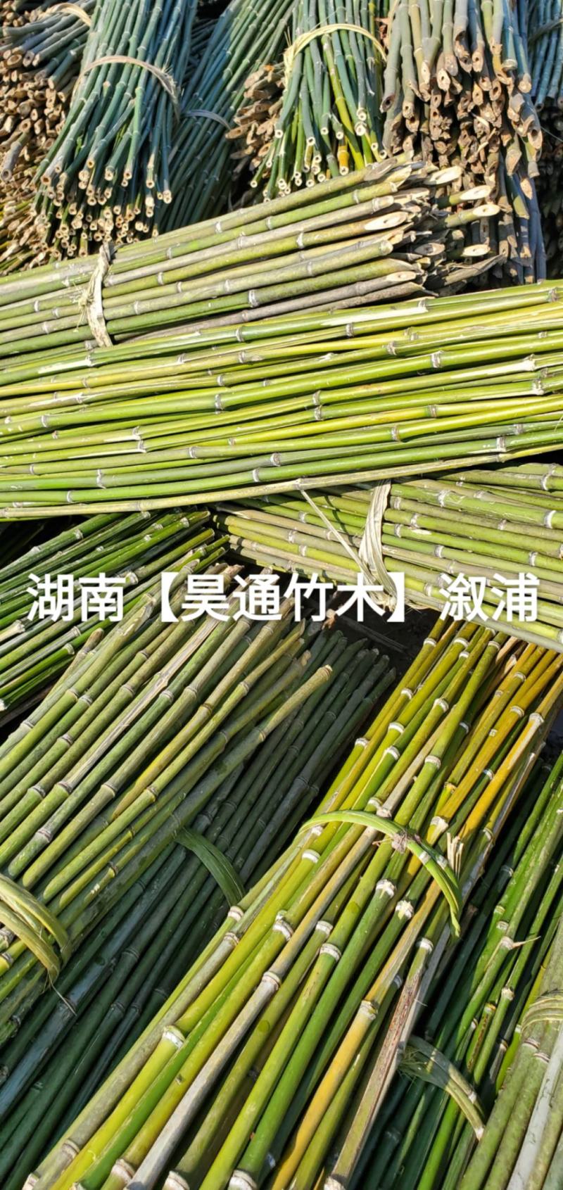 湘西雪峰山菜架竹、竹竿、竹架条、铁竹、金竹、绿竹、竹子