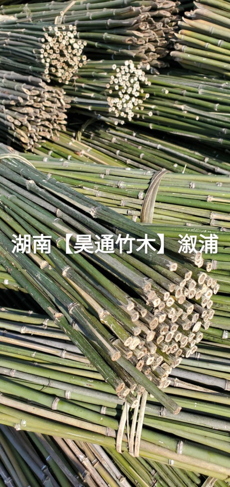 湘西雪峰山菜架竹、竹竿、竹架条、铁竹、金竹、绿竹、竹子