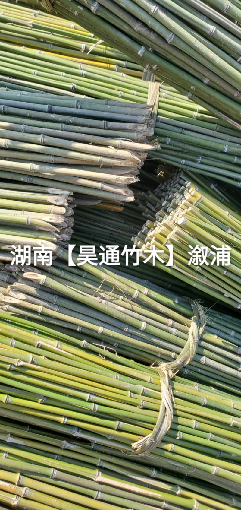 湘西雪峰山菜架竹、竹竿、竹架条、铁竹、金竹、绿竹、竹子