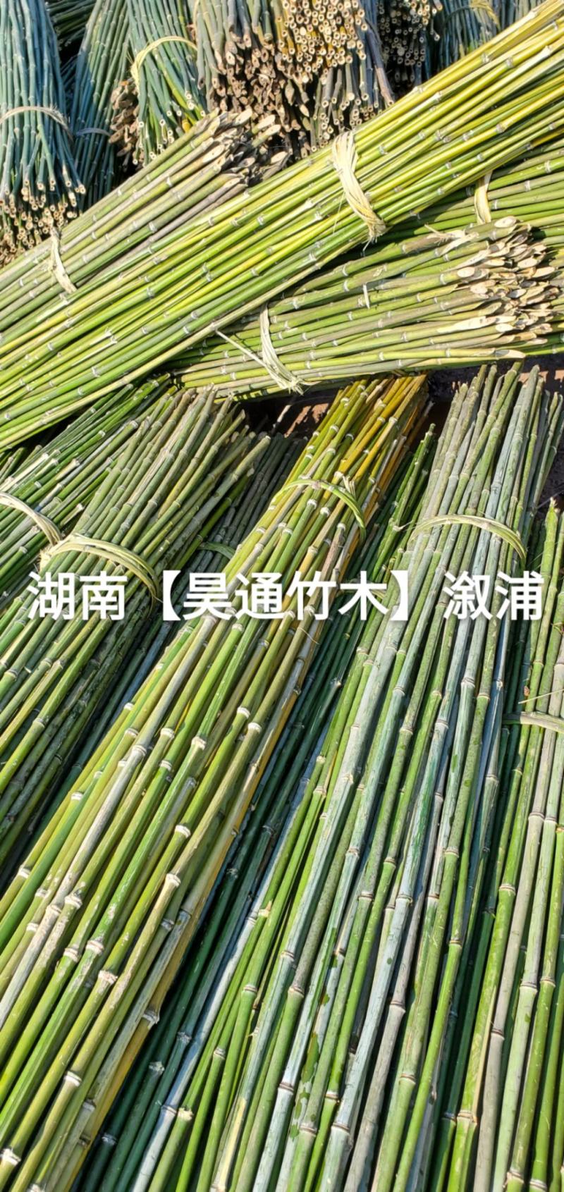 湘西雪峰山菜架竹、竹竿、竹架条、铁竹、金竹、绿竹、竹子