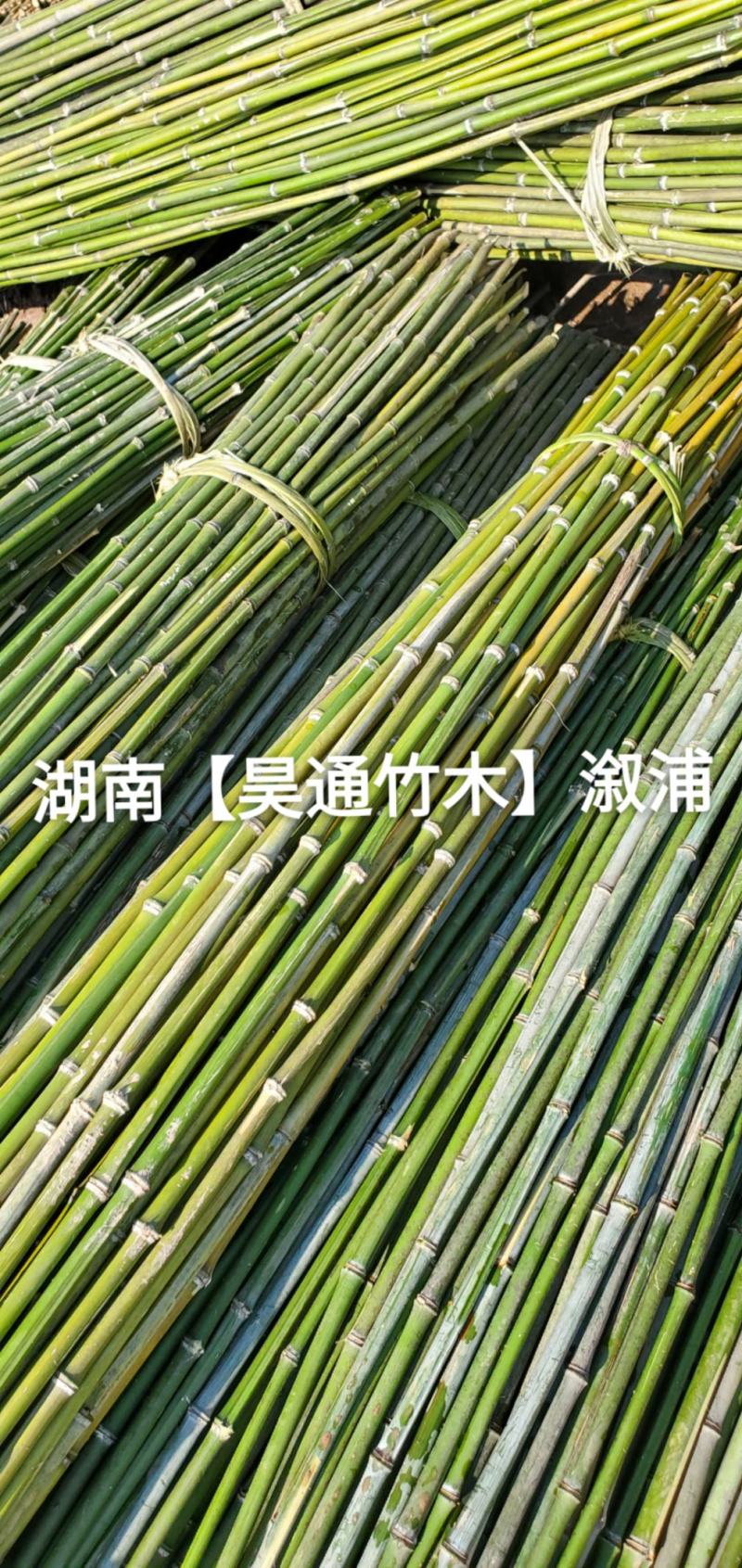 湘西雪峰山菜架竹、竹竿、竹架条、铁竹、金竹、绿竹、竹子