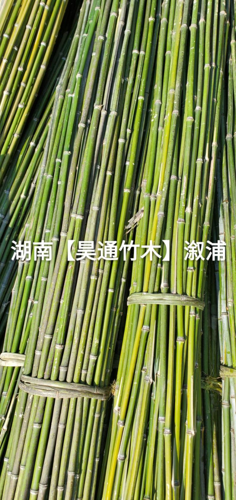 湘西雪峰山菜架竹、竹竿、竹架条、铁竹、金竹、绿竹、竹子