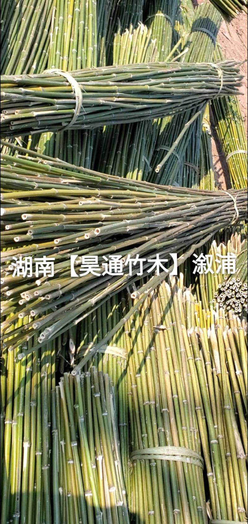 湘西雪峰山竹竿、菜架竹、架竹、竹架条、豆瓜扦、山竹、铁竹