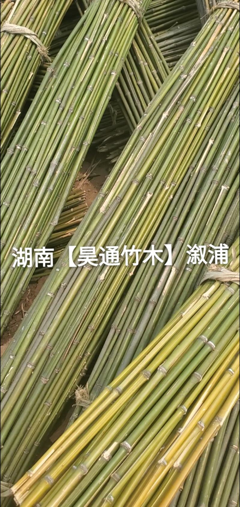 湘西雪峰山竹竿、菜架竹、架竹、竹架条、豆瓜扦、山竹、铁竹