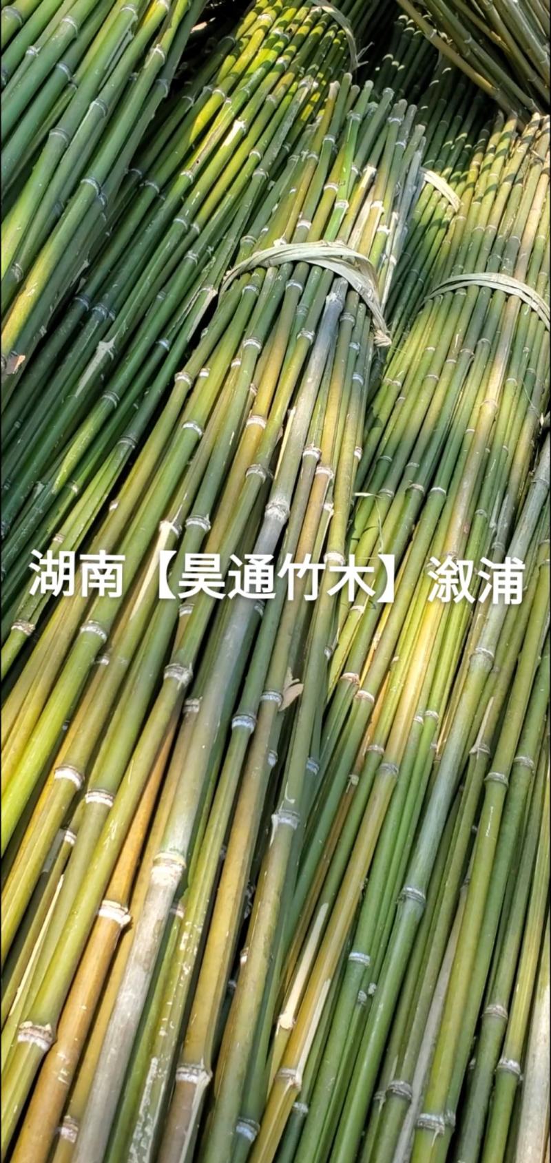 湘西雪峰山竹竿、菜架竹、架竹、竹架条、豆瓜扦、山竹、铁竹