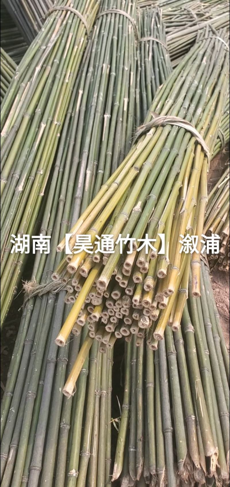湘西雪峰山竹竿、菜架竹、架竹、竹架条、豆瓜扦、山竹、铁竹