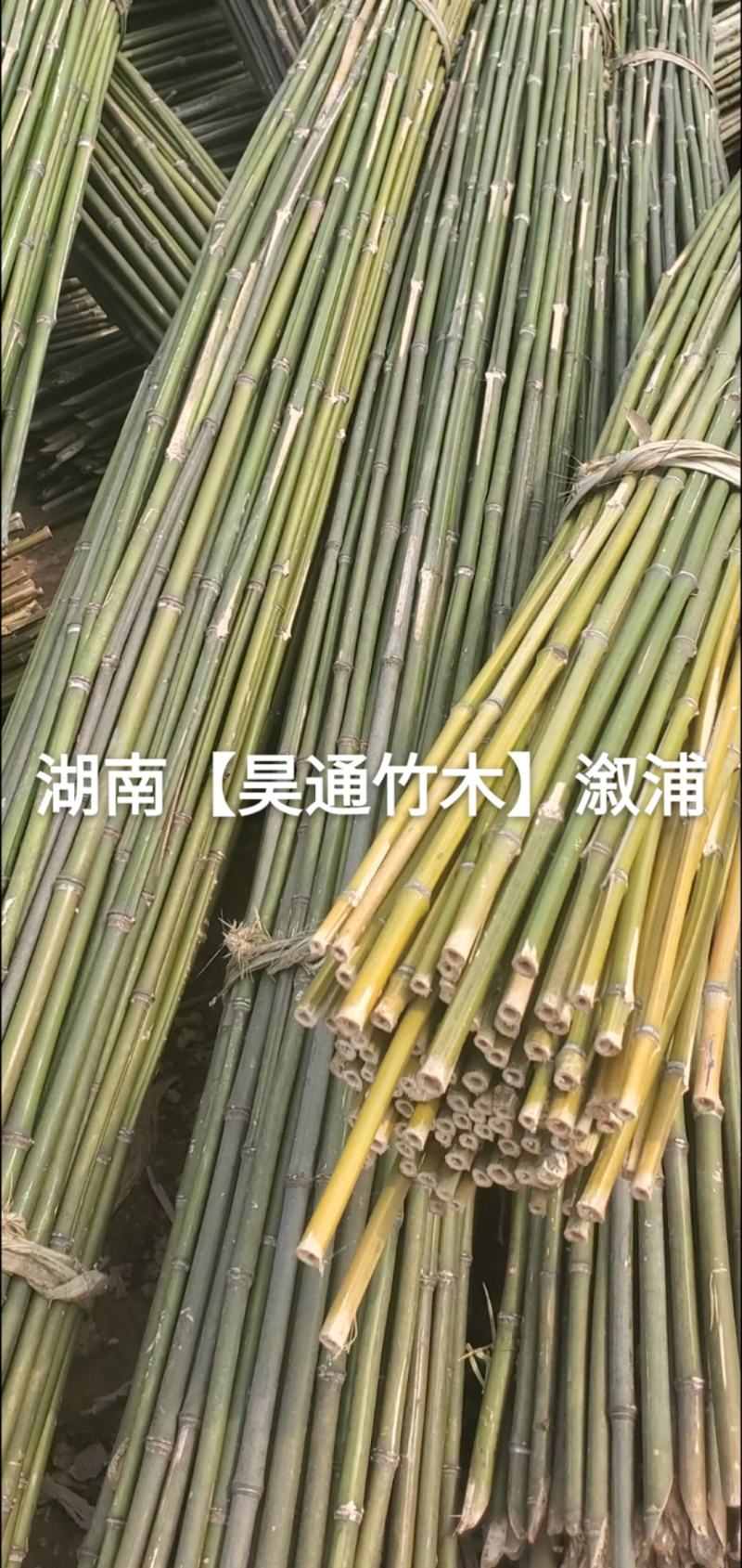 湘西雪峰山竹竿、菜架竹、架竹、竹架条、豆瓜扦、山竹、铁竹