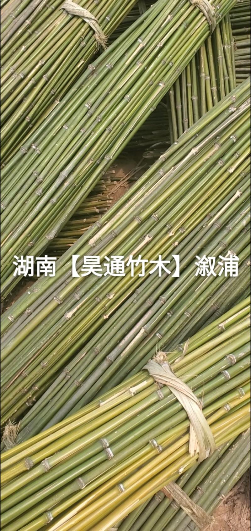 湘西雪峰山竹竿、菜架竹、架竹、竹架条、豆瓜扦、山竹、铁竹